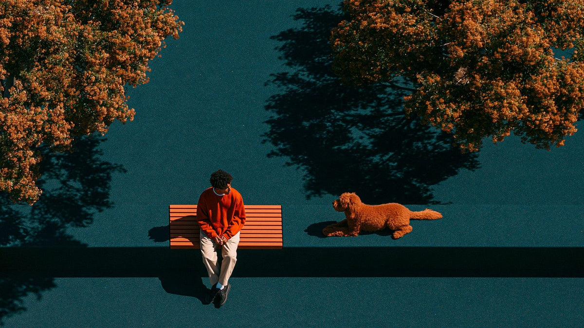 A dog owner in a relaxed snouts hoodie sitting on a park bench near a doodle